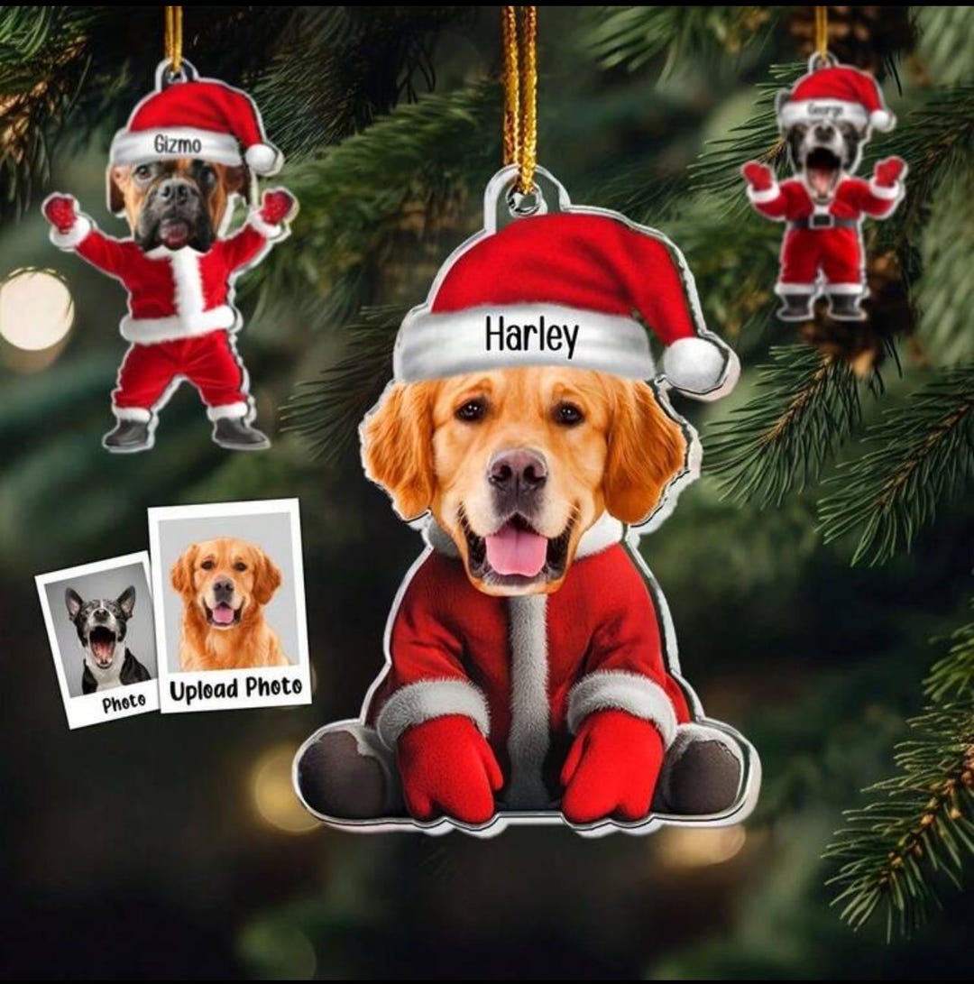 Custom Pet Christmas Ornament, Personalized Dog or Cat Santa Suit Gift — free download