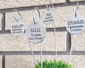 Potted Herb Markers Set of 4, Herb Garden Stakes with Common and Scientific Names, Metal Garden Plant Signs, Gift for Gardeners