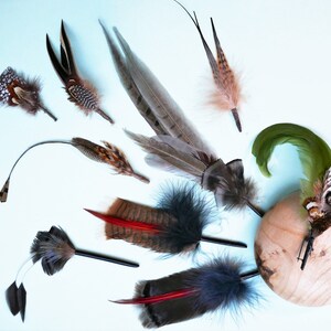 Millinery Hat Feather Mounts // Lapel Boutonniere // Pheasant Turkey Coq Peacock Quill // Hat Trims  (G1)