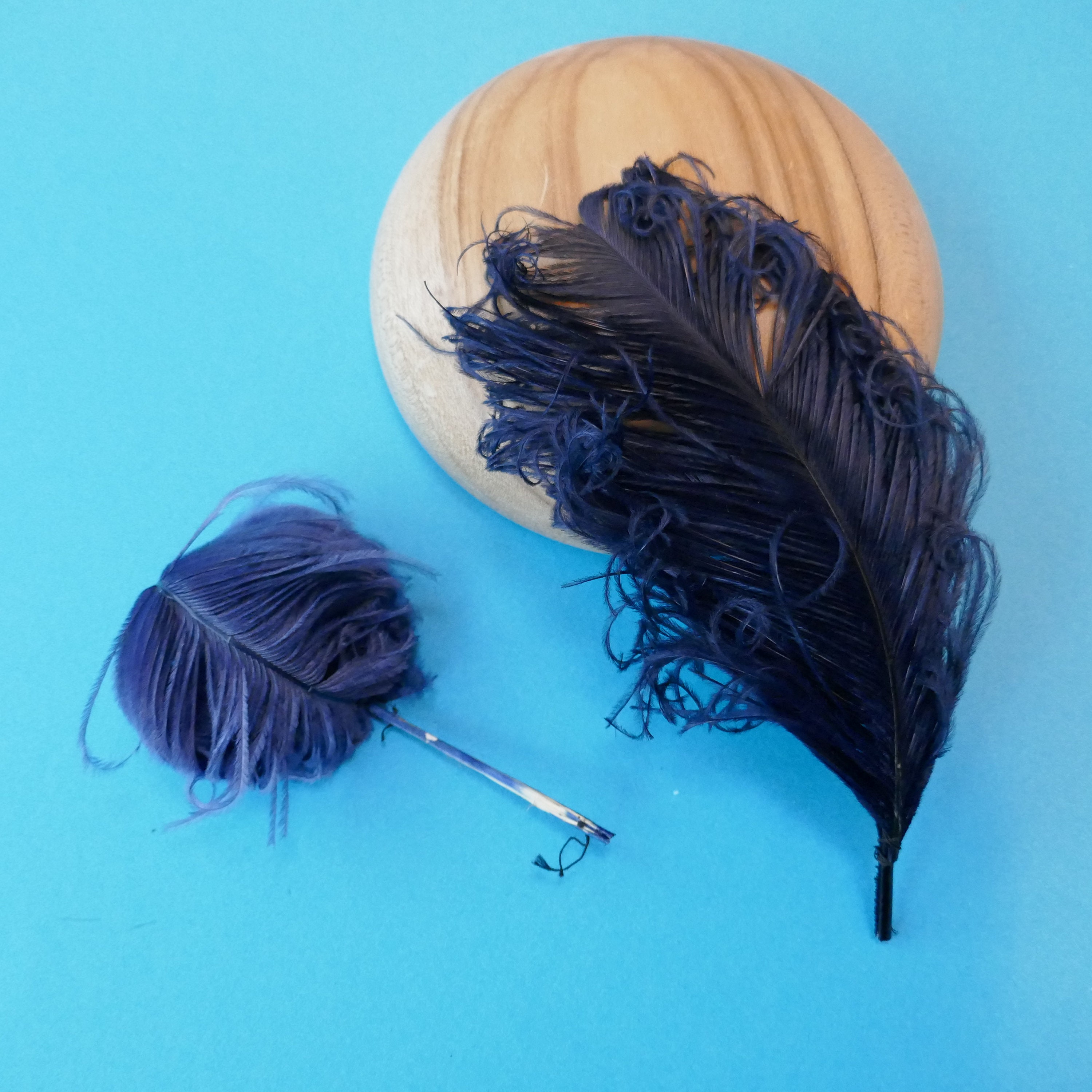 Black Ostrich Feather Sprays - Feathers - Basic Craft Supplies - Craft  Supplies