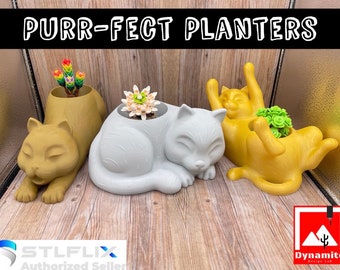 Purr-fect Planters