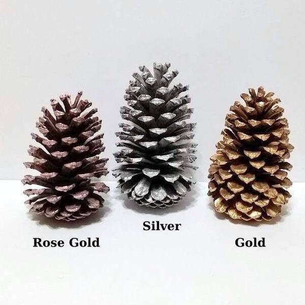 Gold Pine Cones Etsy