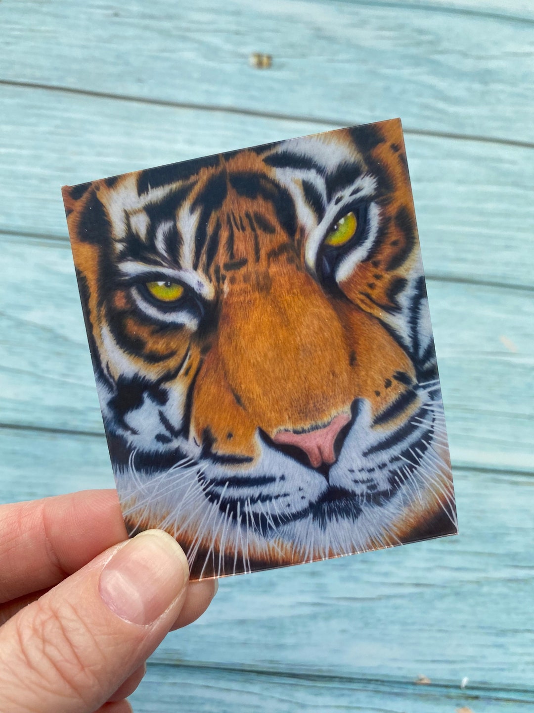 Sticker Tiger Sticker Art Fine Art Sticker Water Bottle Etsy