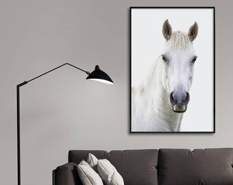 White Horse, White Horse Photo, Horse Photography, White Horse Print, White Horse Poster, Animal Print, Equestrian, Nursery Animals, Horse