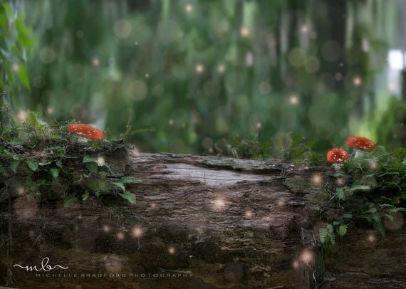 Magical Fairy Log In Forest Digital Background Backdrop For Etsy