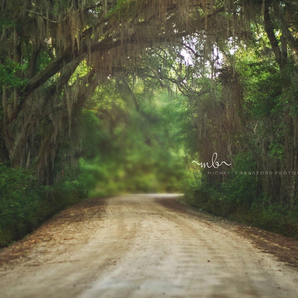 Tree Canopy winding road digital background/ backdrop