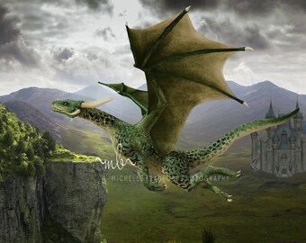 Magic Flying Dragon digital background backdrop for photography.