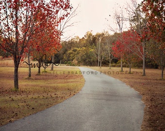 Fall Digital Background