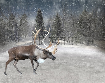 Reindeer in the snow digital background / backdrop