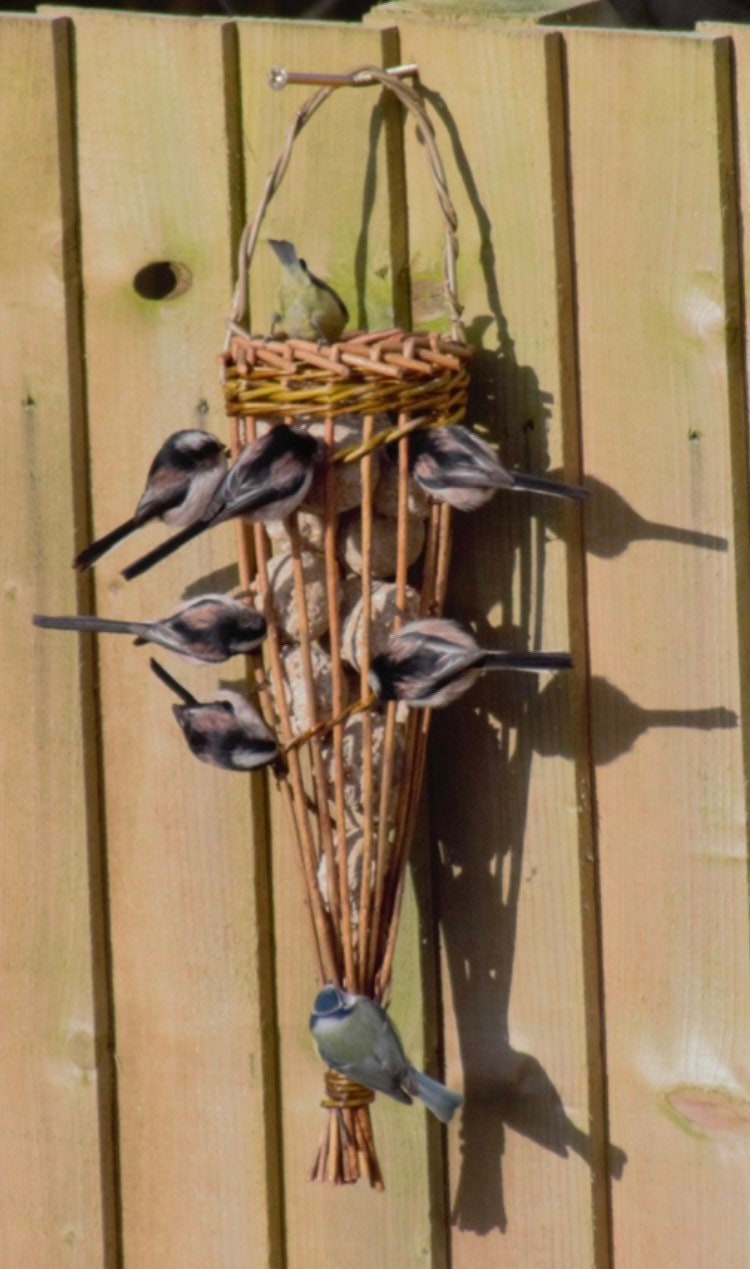 Willow Bird Feeder Fatball Feeder Onion Store Garlic Etsy