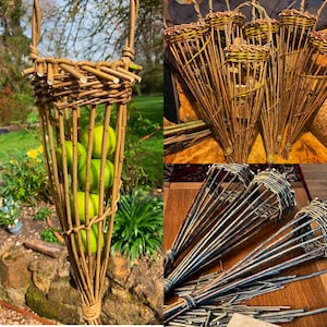 May include: Handmade woven willow fruit picker basket holding green apples. The basket has a long handle and a conical shape, perfect for harvesting fruit. The basket is made of natural brown willow branches.