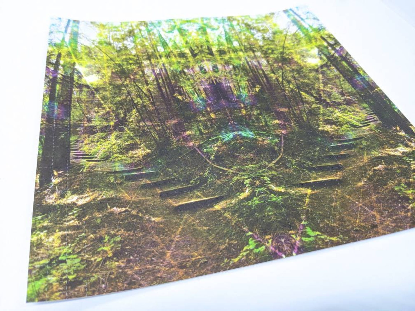 Psychedelic Trippy Trees Blotter Art LSD Art Print - Etsy