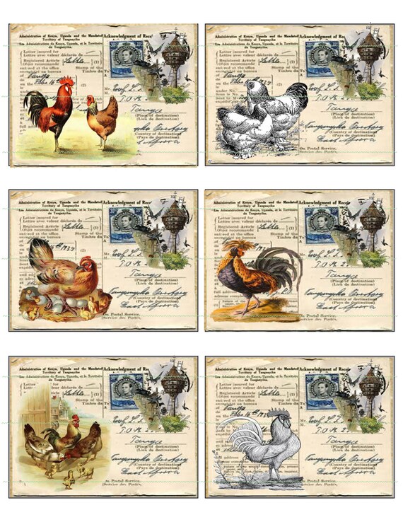 Instant Download Vintage Ephemera Roosters Chickens Birdhouses Etsy