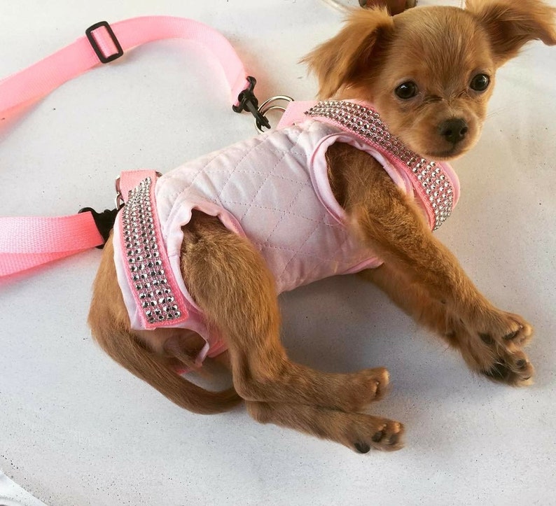 Pet Purse Carrier,pawz Purse,airline Friendly, Multipurpose Sling,dog