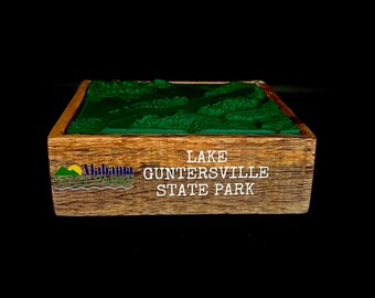 Lake Guntersville State Park Topographical Map Model