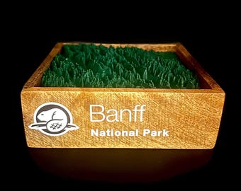 Banff National Park (Canada) - 3D Printed Topographical Landscape model