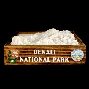 Denali National Park - 3D Printed Topographical Landscape model