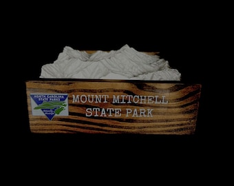 Mount Mitchell State Park - 3D Printed Topographical Landscape model