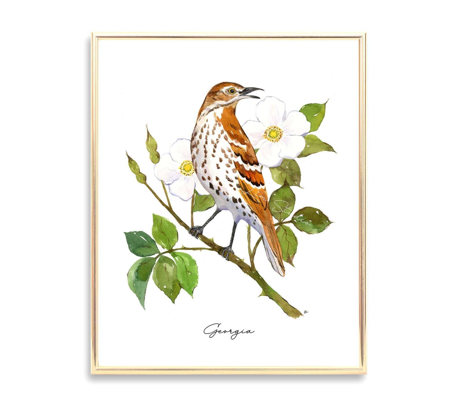 Georgia State Bird Print Brown Thrasher Wall Art Cherokee | Etsy