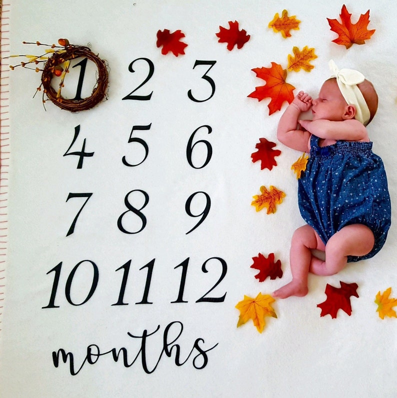 Baby Milestone Blanket