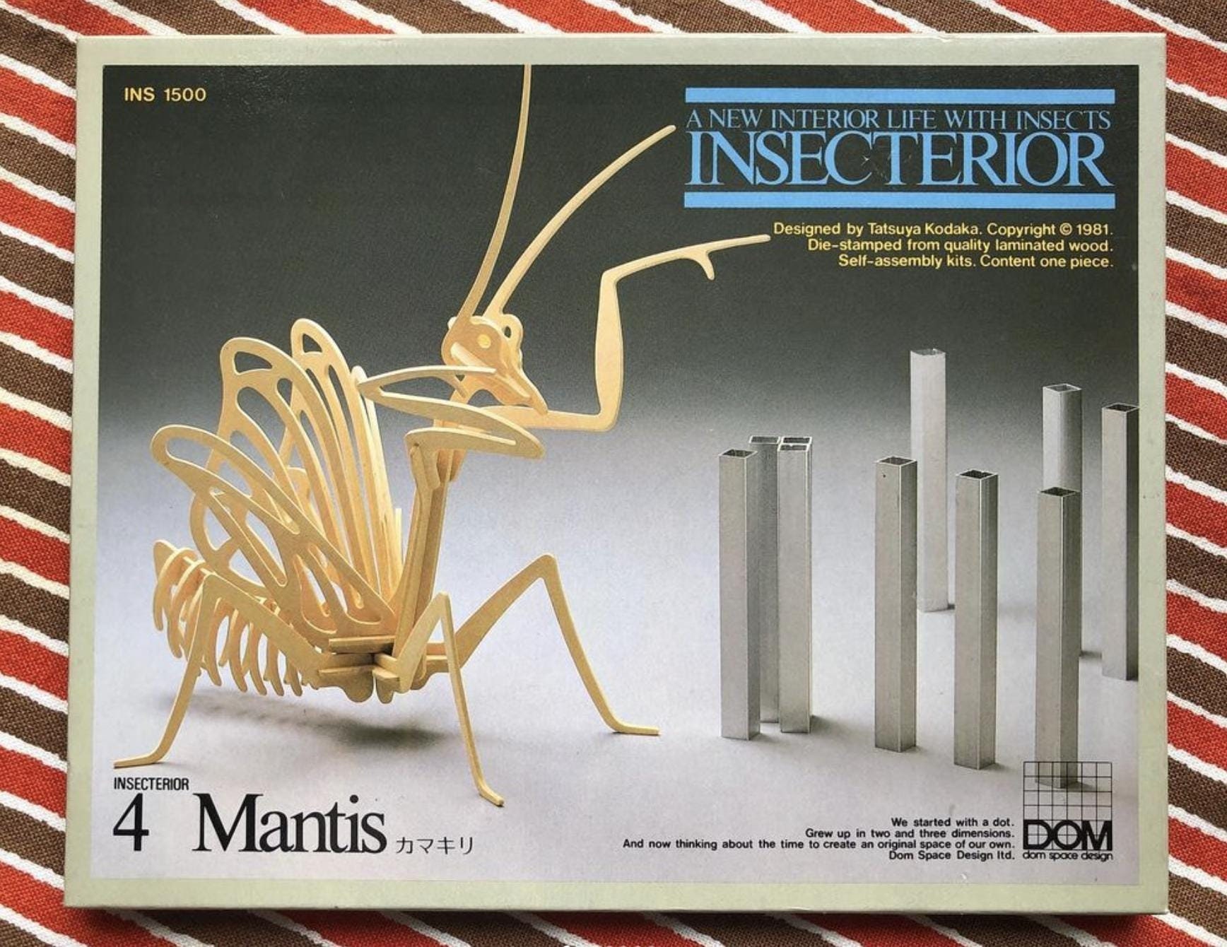 DOM SPACE DESIGN ＊