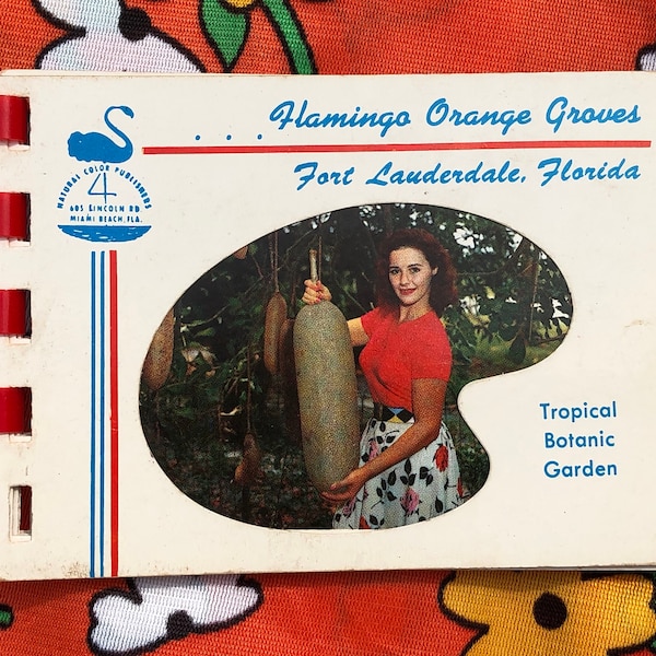 vintage 1950s Flamingo Orange Groves tropical botanical garden souvenir photo book