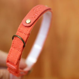 Personalized Carrot Orange Cat Collar: Halloween Breakaway Safety Buckle image 4
