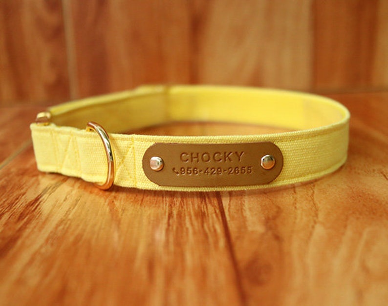 Yellow Stylish Dog Collar Personalized Banana Yellow Dog Etsy