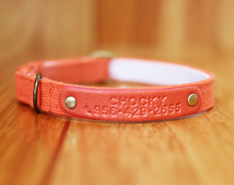 May include: Orange canvas dog collar with a leather patch that says "Rocky" and a phone number.