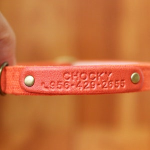 May include: Orange canvas dog collar with a leather patch that says "Chocky" and a phone number.