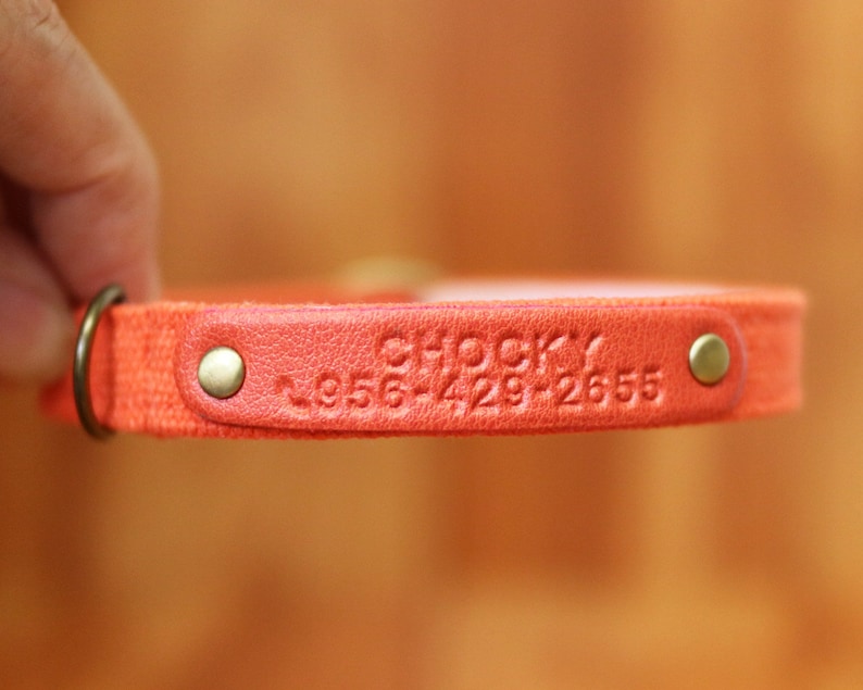 May include: Orange canvas dog collar with a leather patch that says "Chocky" and a phone number.