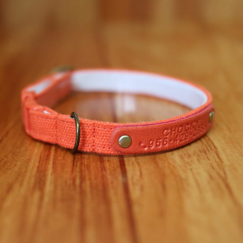 Personalized Carrot Orange Cat Collar: Halloween Breakaway Safety Buckle image 3
