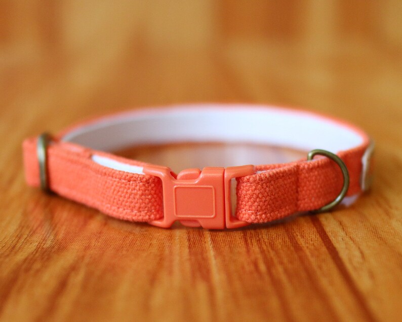 Carrot Orange personalized Cat Collar Orange Cat Collar Etsy
