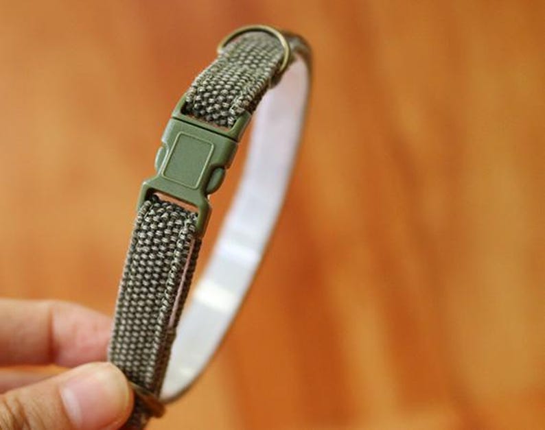 Personalized Olive Green Cat Collar: Earth Tone Breakaway, Custom cat tag immagine 9