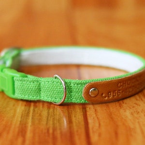 Green Apple Cat Collar personalized, Green personalized Cat Collar ,Custom Cat Collar, Chocky Breakaway Cat Collar, Kitten Breakaway Collar