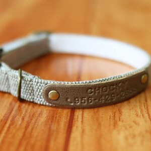 May include: A beige canvas dog collar with a brown leather tag that says "Chocky" and a phone number.