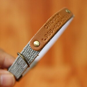 May include: A brown leather dog collar with a white fabric backing. The collar has a metal buckle and a metal tag with the text "CHOCKY 956-428-2858" engraved on it.