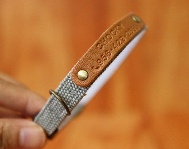 May include: A brown leather dog collar with a white fabric backing. The collar has a metal buckle and a metal tag with the text "CHOCKY 956-428-2858" engraved on it.