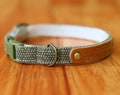 Green Earth Tone Cat Collar Personalized, Natural Green Personalized Cat Collar, Olive Green Cat Collar, Green Breakaway Cat Collar product logo