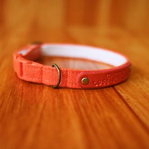 Personalized Carrot Orange Cat Collar: Halloween Breakaway Safety Buckle image 1