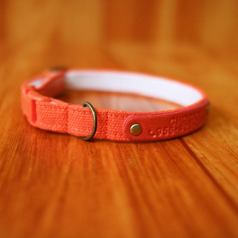 Personalized Carrot Orange Cat Collar: Halloween Breakaway Safety Buckle image 1