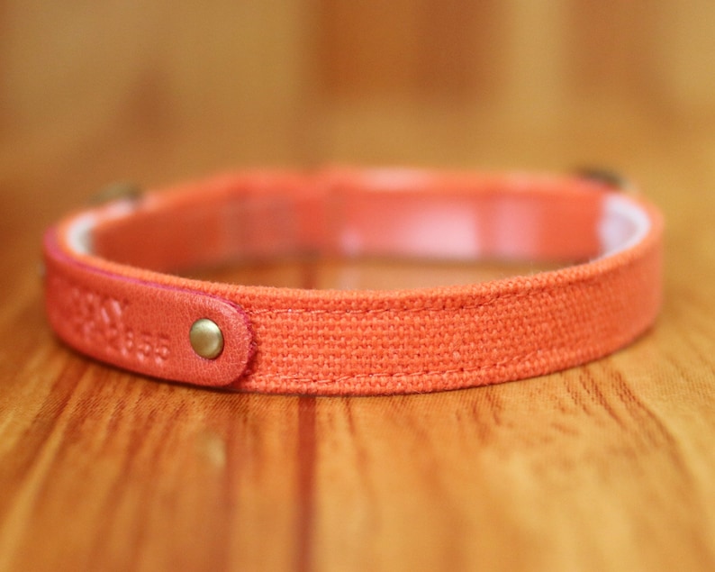 May include: A close-up of a bright orange canvas dog collar with a leather patch and a brass buckle.