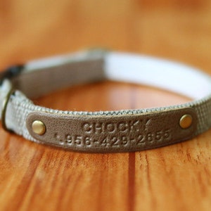 May include: A beige fabric dog collar with a brown leather patch that says "Chocki" and a phone number.