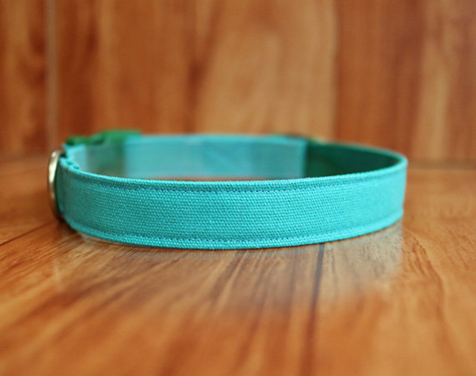 Minimal Mint Dog Collar Minimal Green Dog Collar Pastel Etsy