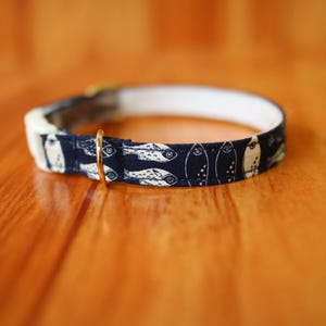 Fish Cat Collar: Blue Cotton Breakaway Kitten Collar