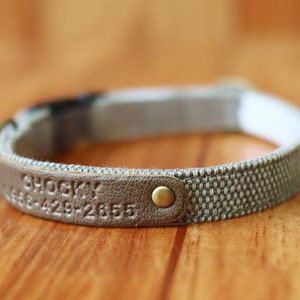 May include: A brown leather dog collar with a white fabric lining and a brass buckle. The collar is engraved with the name "Shocky" and a phone number.