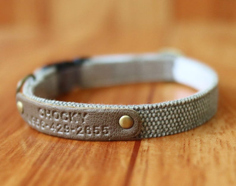 May include: A brown leather dog collar with a white fabric lining and a brass buckle. The collar is engraved with the name "Shocky" and a phone number.