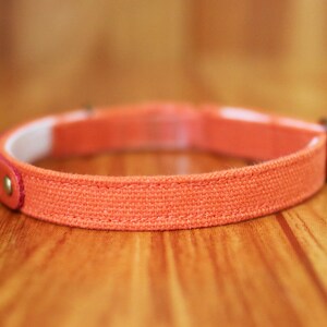 May include: A close-up of a coral-colored canvas dog collar with a metal buckle and a pink stitching detail.