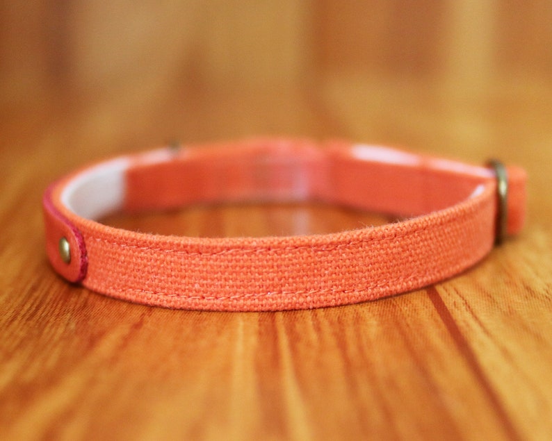 May include: A close-up of a coral-colored canvas dog collar with a metal buckle and a pink stitching detail.