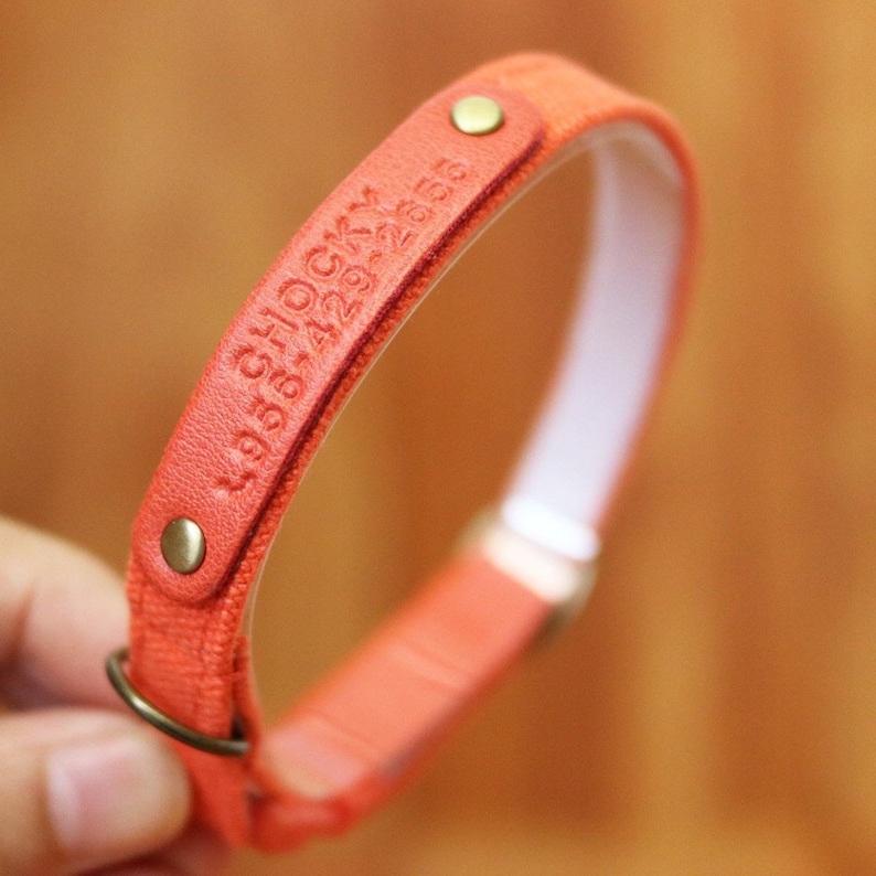 Personalized Carrot Orange Cat Collar: Halloween Breakaway Safety Buckle image 2